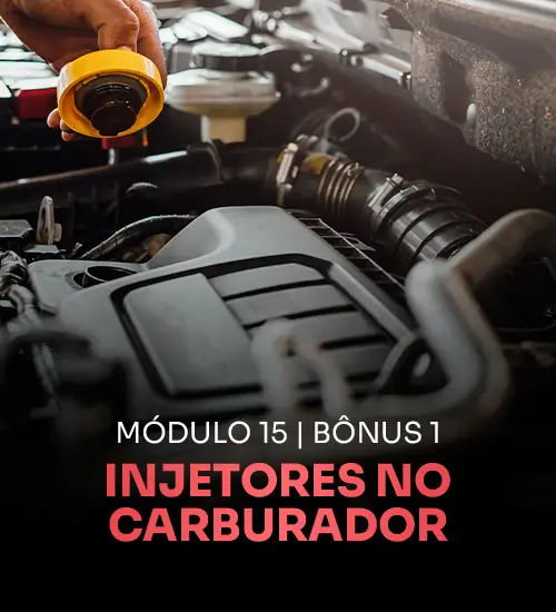 Módulo 15 — TBI e montagem de bicos