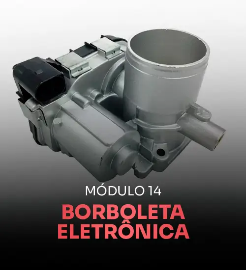Módulo 14 — Borboleta eletrônica e marcha lenta